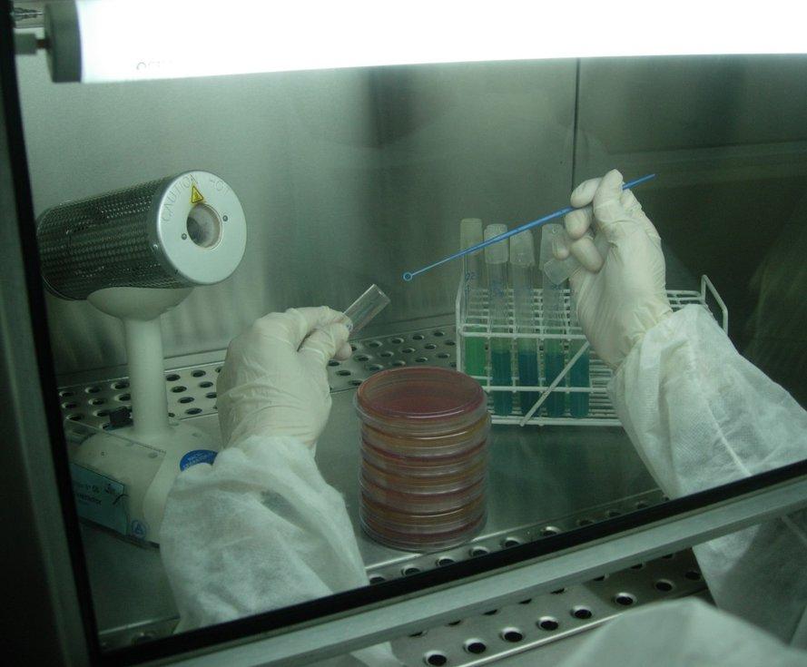 Cabina de Bioseguridad